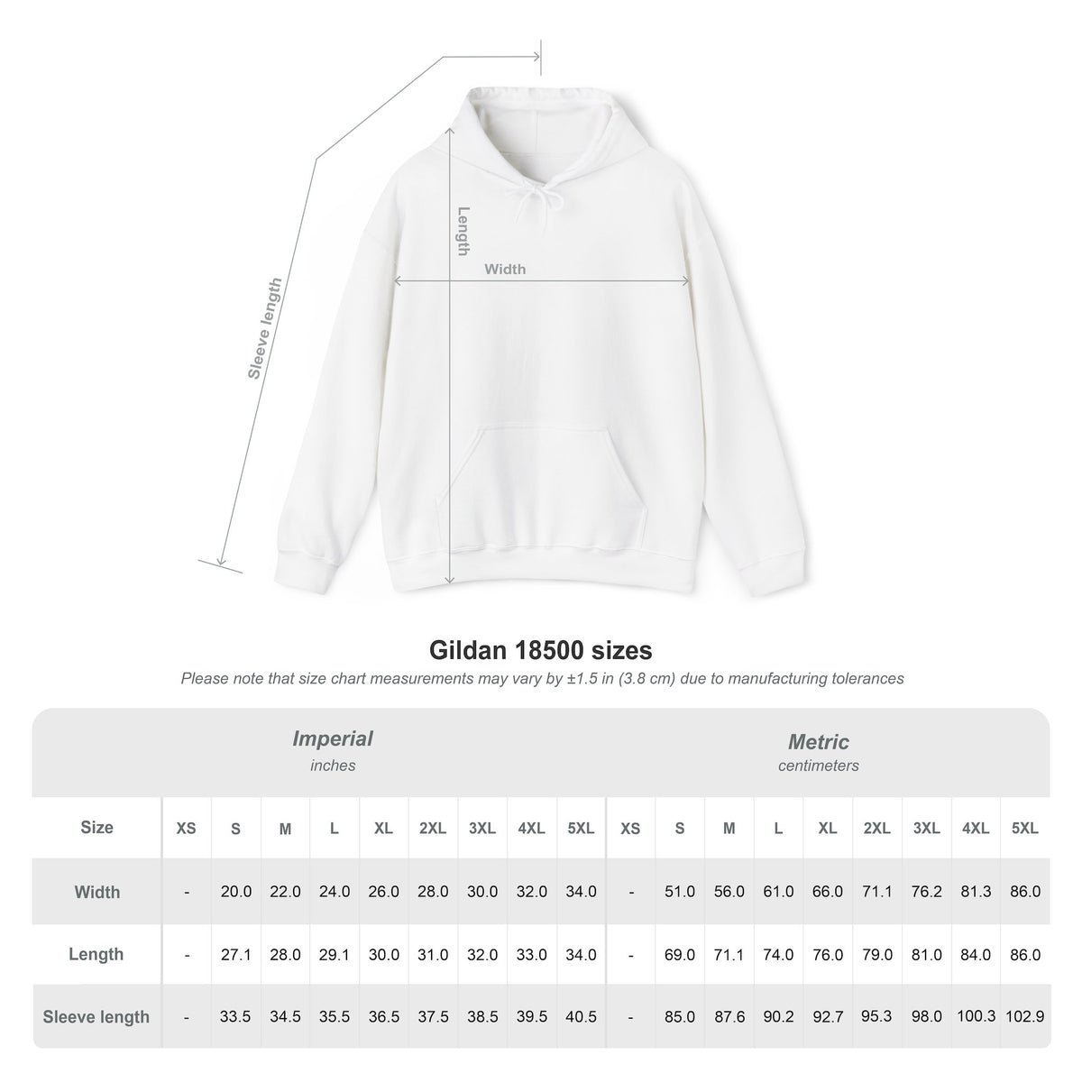 Dark Academia Raven Graphic Hoodie