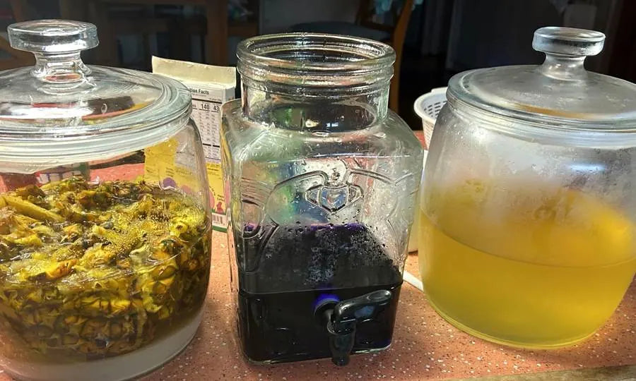 Aina Active Tonics